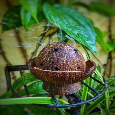 Coconut Dhoop stand (Premium quality and Handmade)