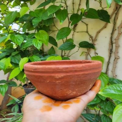 Mud pot